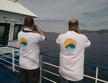 La Fundació Baleària colabora en la recuperación de cetáceos en el mar catalano-balear en 2016