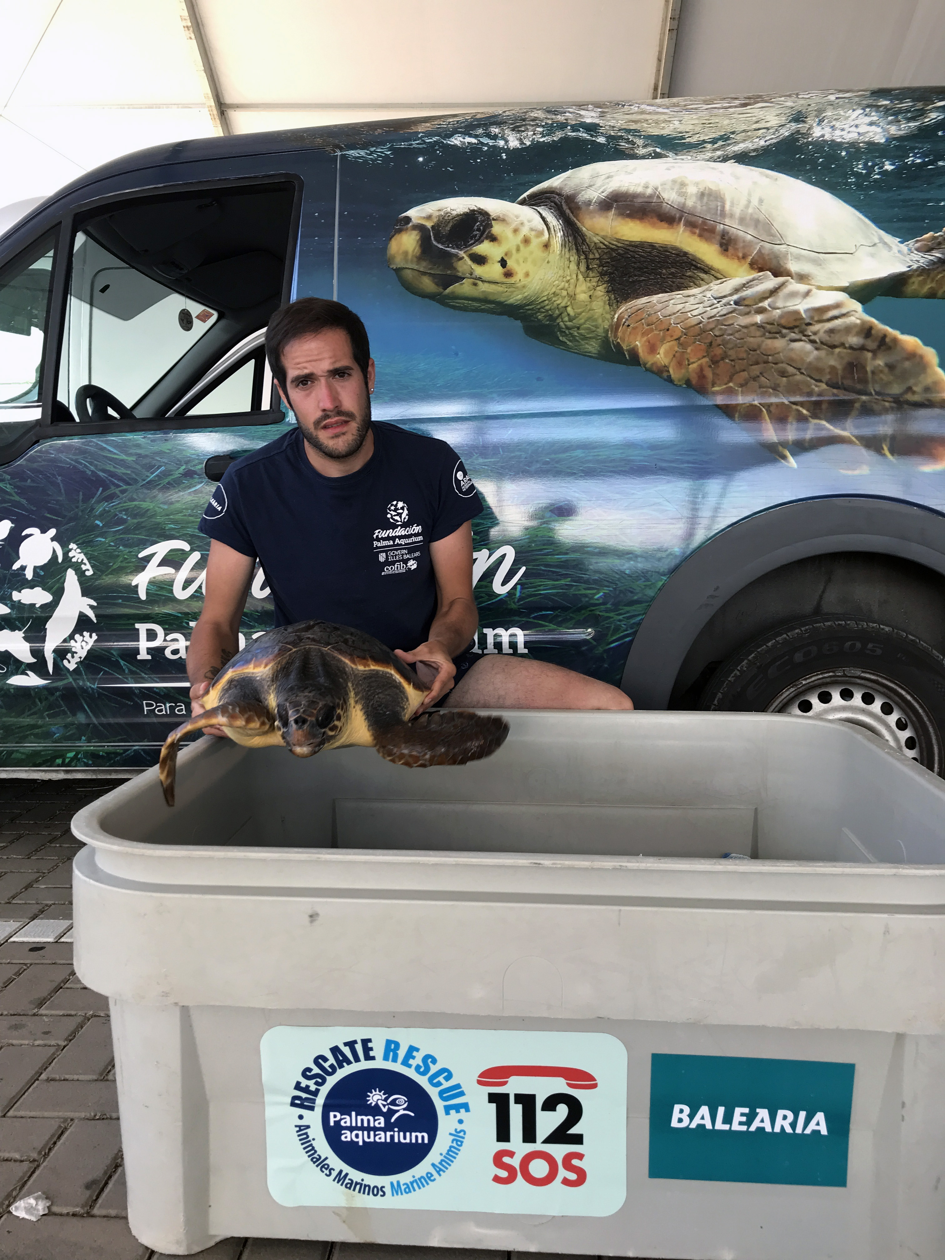 La Fundació Baleària facilitó el traslado de 173 tortugas en 2021 en el marco de su acuerdo con la Fundació Palma Aquarium