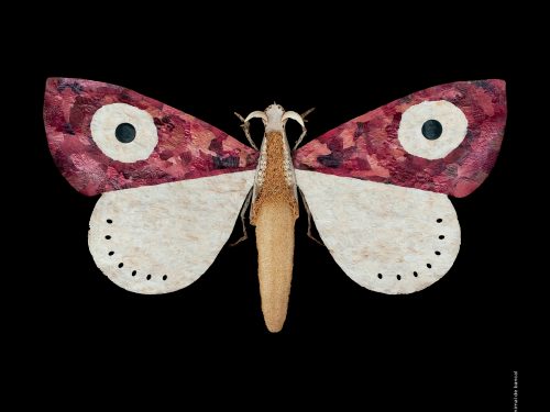 Exposició: Art Sostenible Mediterrani