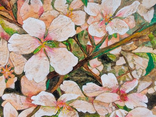 Exposición: Flors d'ametller