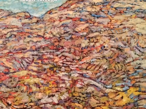 Exposición: Aigua, pedra, buit. Juan Tárrega