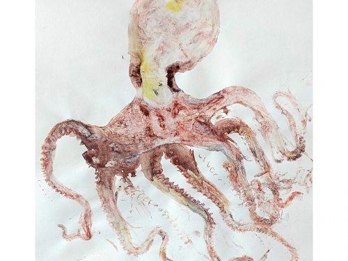 Exposición: 'Reflexos mediterranis', Ximo Canet