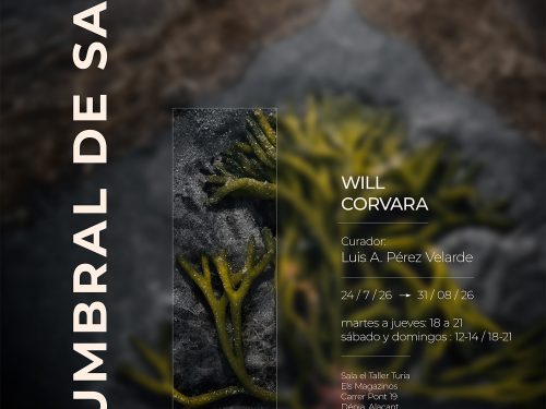 Exposición: Umbral de Sal, WILL CORVARA